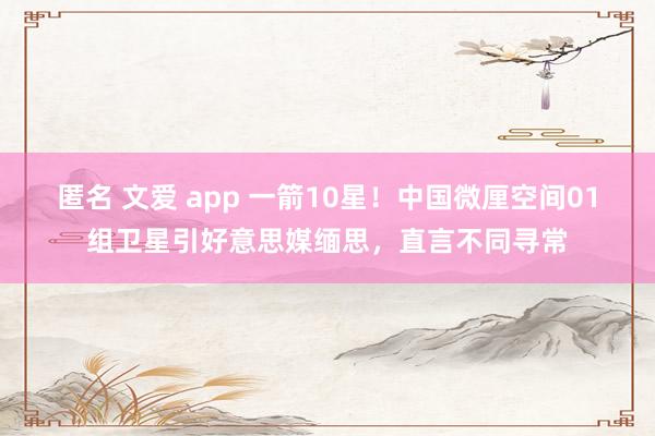 匿名 文爱 app 一箭10星！中国微厘空间01组卫星引好意思媒缅思，直言不同寻常