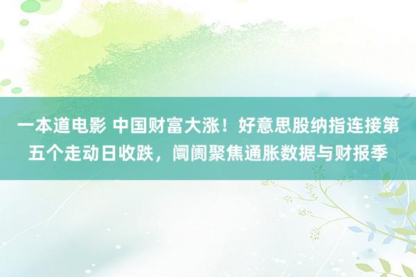 一本道电影 中国财富大涨！好意思股纳指连接第五个走动日收跌，阛阓聚焦通胀数据与财报季