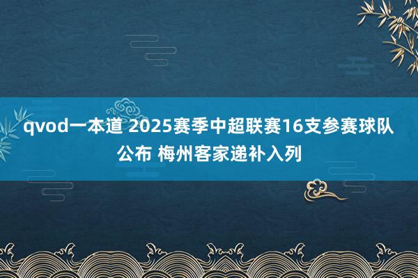 qvod一本道 2025赛季中超联赛16支参赛球队公布 梅州客家递补入列