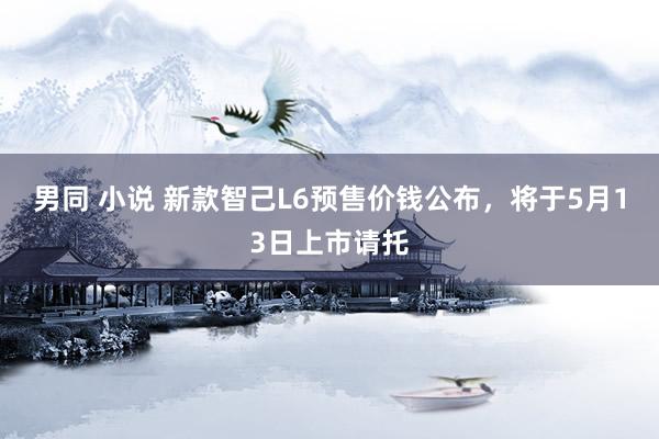 男同 小说 新款智己L6预售价钱公布，将于5月13日上市请托