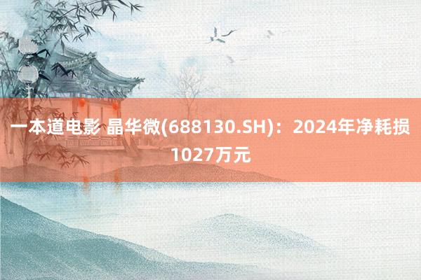 一本道电影 晶华微(688130.SH)：2024年净耗损1027万元