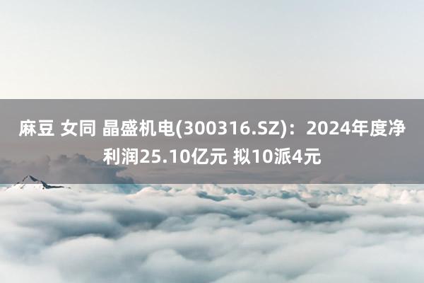麻豆 女同 晶盛机电(300316.SZ)：2024年度净利润25.10亿元 拟10派4元