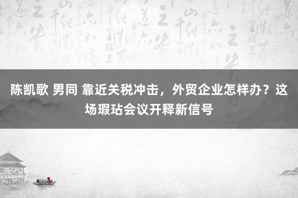陈凯歌 男同 靠近关税冲击，外贸企业怎样办？这场瑕玷会议开释新信号