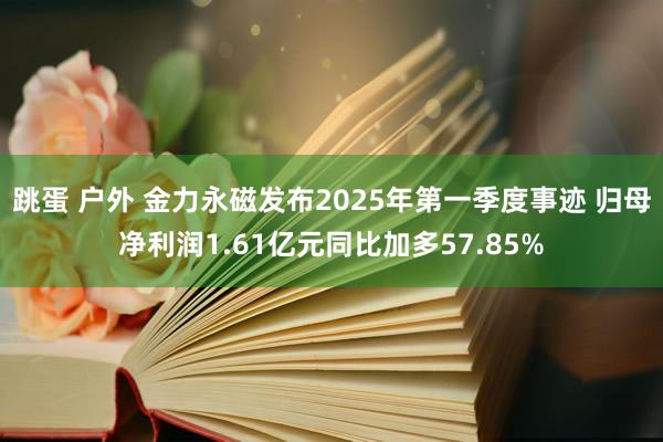 跳蛋 户外 金力永磁发布2025年第一季度事迹 归母净利润1.61亿元同比加多57.85%