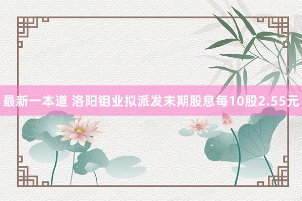 最新一本道 洛阳钼业拟派发末期股息每10股2.55元